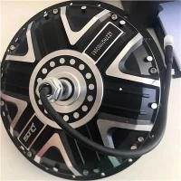 1000 W Spoke Hub motor